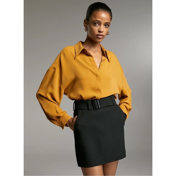 Aritzia Dresses & Skirts - ARITZIA | BABATON ERIKSON BELTED SKIRT Erikson